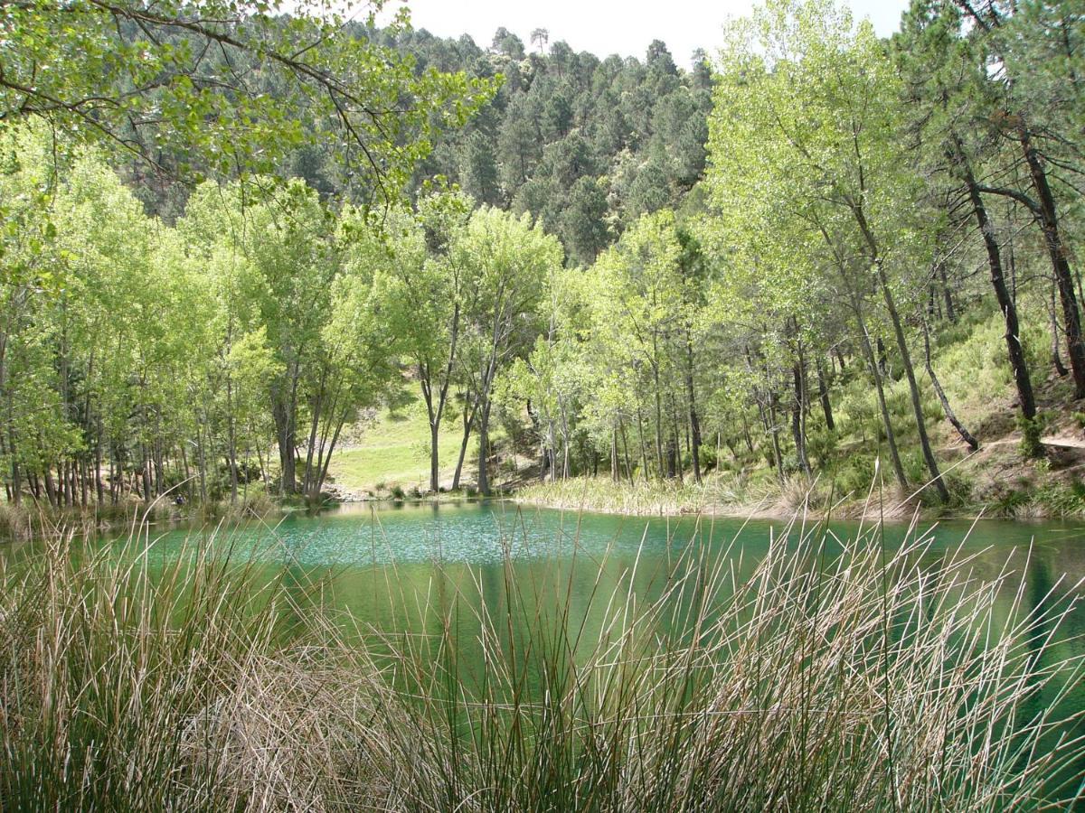 La Encina B Villa Villaverde De Guadalimar Kültér fotó